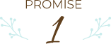 promise 1