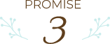 promise 3